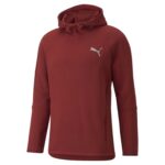 Puma Evostripe Hoodie Ανδρικό Φούτερ με Κουκούλα 589422-22