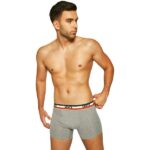 Levi's Ανδρικά Εσώρουχα Boxer 2 Pack - Image 2