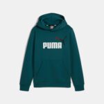 Puma Ess+ 2 Col Big Logo Hoodie FL Βρεφικό Φούτερ Κουκούλα Αγόρι 586987-08