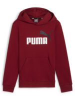 Puma Ess+ 2 Col Big Logo Hoodie FL Βρεφικό Φούτερ Κουκούλα Αγόρι 586987-13