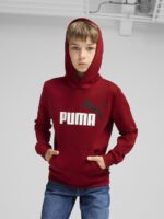 Puma Ess+ 2 Col Big Logo Hoodie FL Βρεφικό Φούτερ Κουκούλα Αγόρι 586987-13 - Image 4