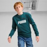 Puma Ess+ 2 Col Big Logo Hoodie FL Παιδικό Φούτερ Λαιμόκοψη  Αγόρι 586986-08 - Image 4