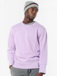 Body Action Oversized Crew Sweatshirt Ανδρικό Λαιμόκοψο Φούτερ 063220-01-Mauve