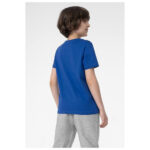 4F Essential T-shirt Παιδικό Κοντομάνικο Αγόρι 4FJSS23TTSHM291-36S - Image 4