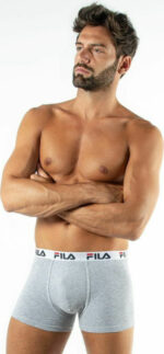 Fila Urban Boxer 2 Pack Ανδρικό Εσώρουχο/Μπόξερ FU5016-400
