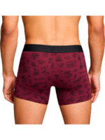 Levi's Men Wstrn Icon AOP Boxer Brief 2 Pack Ανδρικό Μπόξερ 701235950-002 - Image 4