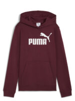 Puma ESS No.1 Logo Hoodie Παιδικό Φούτερ Κουκούλα Αγόρι 684896-96