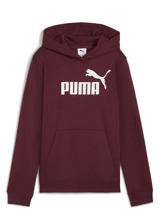 fixedratio_20250828105726_puma_paidiko_fouter_me_koukoula_mpornto_hoodie_fl_684896_96.1 Puma ESS No.1 Logo Hoodie Παιδικό Φούτερ Κουκούλα Αγόρι 684896-96 - Image 1