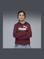 Puma ESS No.1 Logo Hoodie Παιδικό Φούτερ Κουκούλα Αγόρι 684896-96 - Image 4