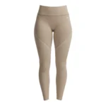 Under Armour Vanish Seamless Legging Γυναικείο Κολάν 6000646-299