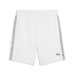 Puma Ess Tape Shorts Ανδρική Βερμούδα 691696-02